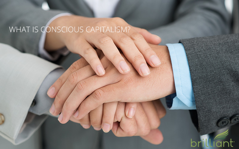 conscious capitalism