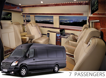 7 passenger luxury van
