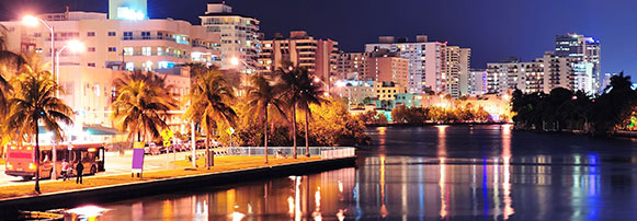 Miami Florida South Beach Palm 