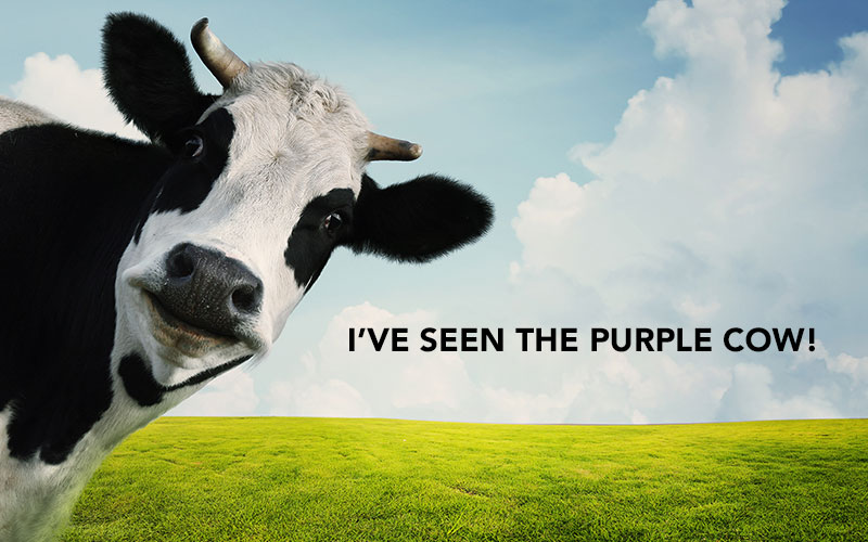 purplecow