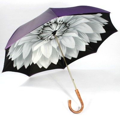 umbrella_INT1