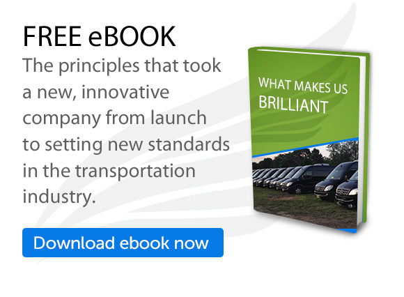 Free eBook: What Makes Us Brilliant