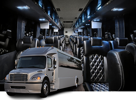 36 Passenger Luxury Minibus