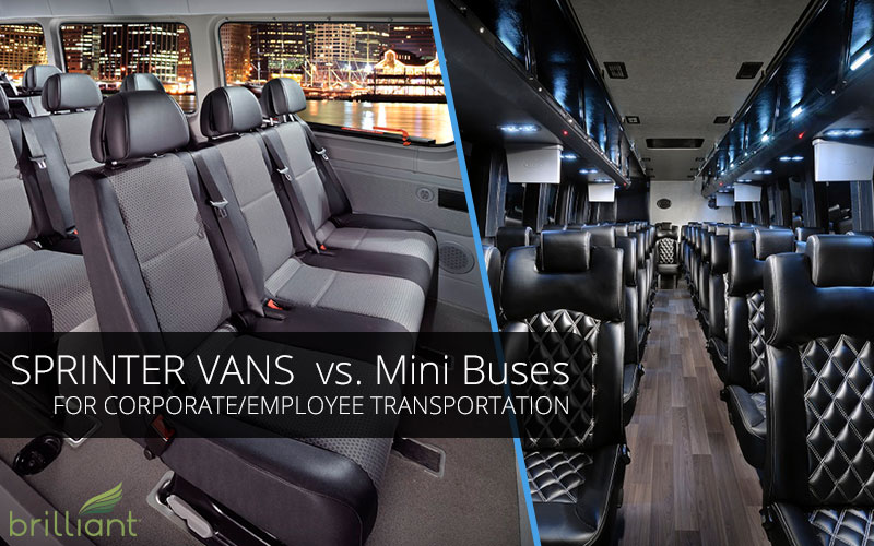 sprinter vs mini bus