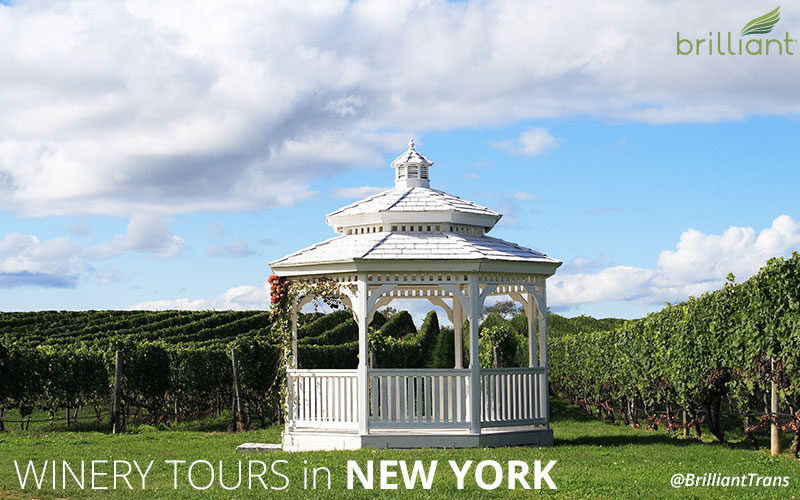 best wine tour in new york